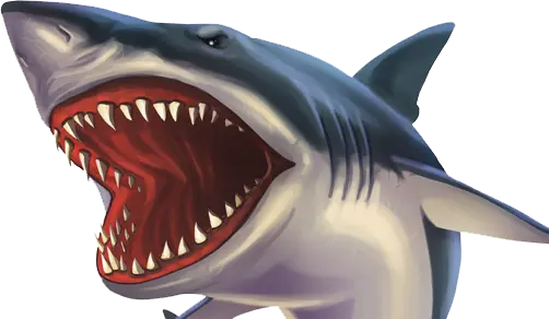 Shark Bite Guarantee badge