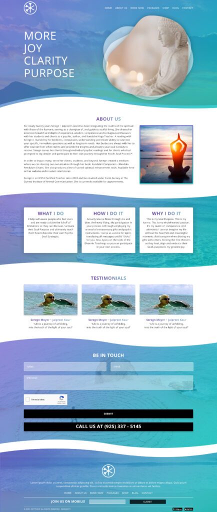 Internet Dominators web development sample